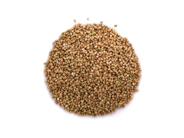 Celery Seed