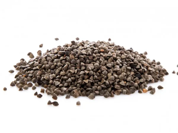 Chia Seed
