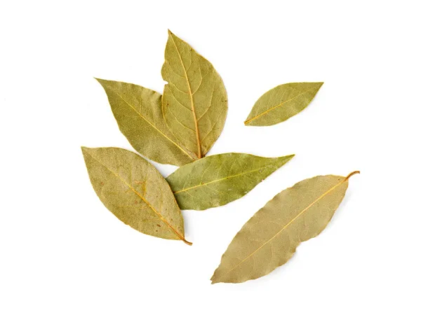 Bay Leaves