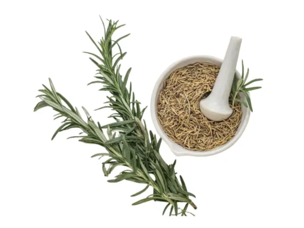 Rosemary