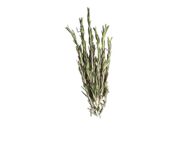 Tarragon