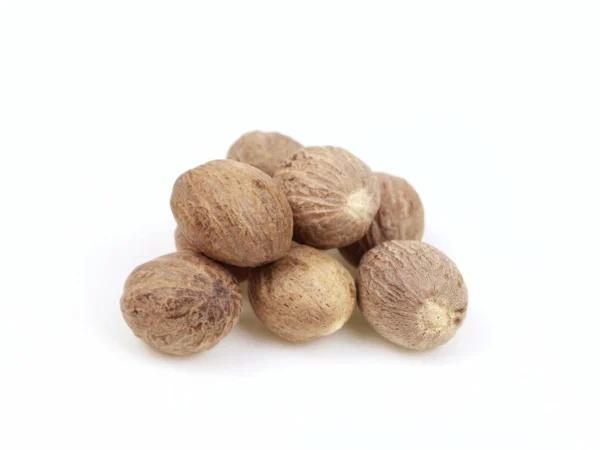 NUTMEG SHELL