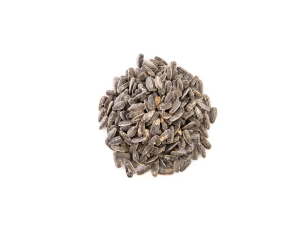 Sun Flower Seeds